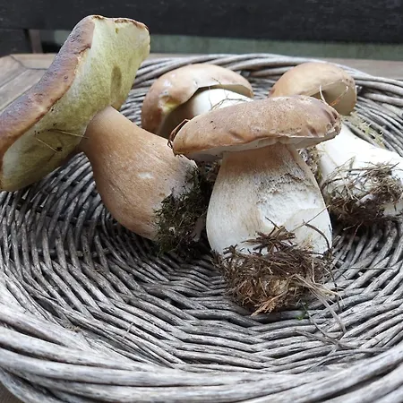 Zum Hohen Venn Apartmán Roetgen