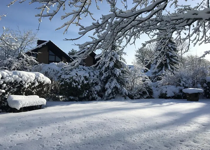 Zum Hohen Venn Daire