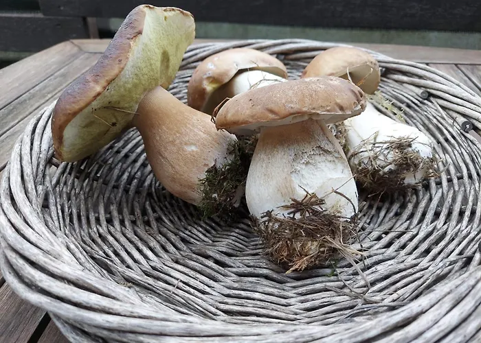 Zum Hohen Venn Daire Roetgen