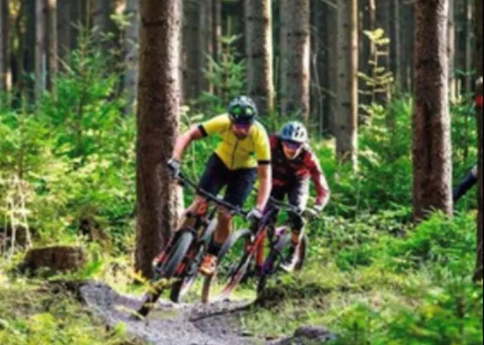 Zum Hohen Venn Daire